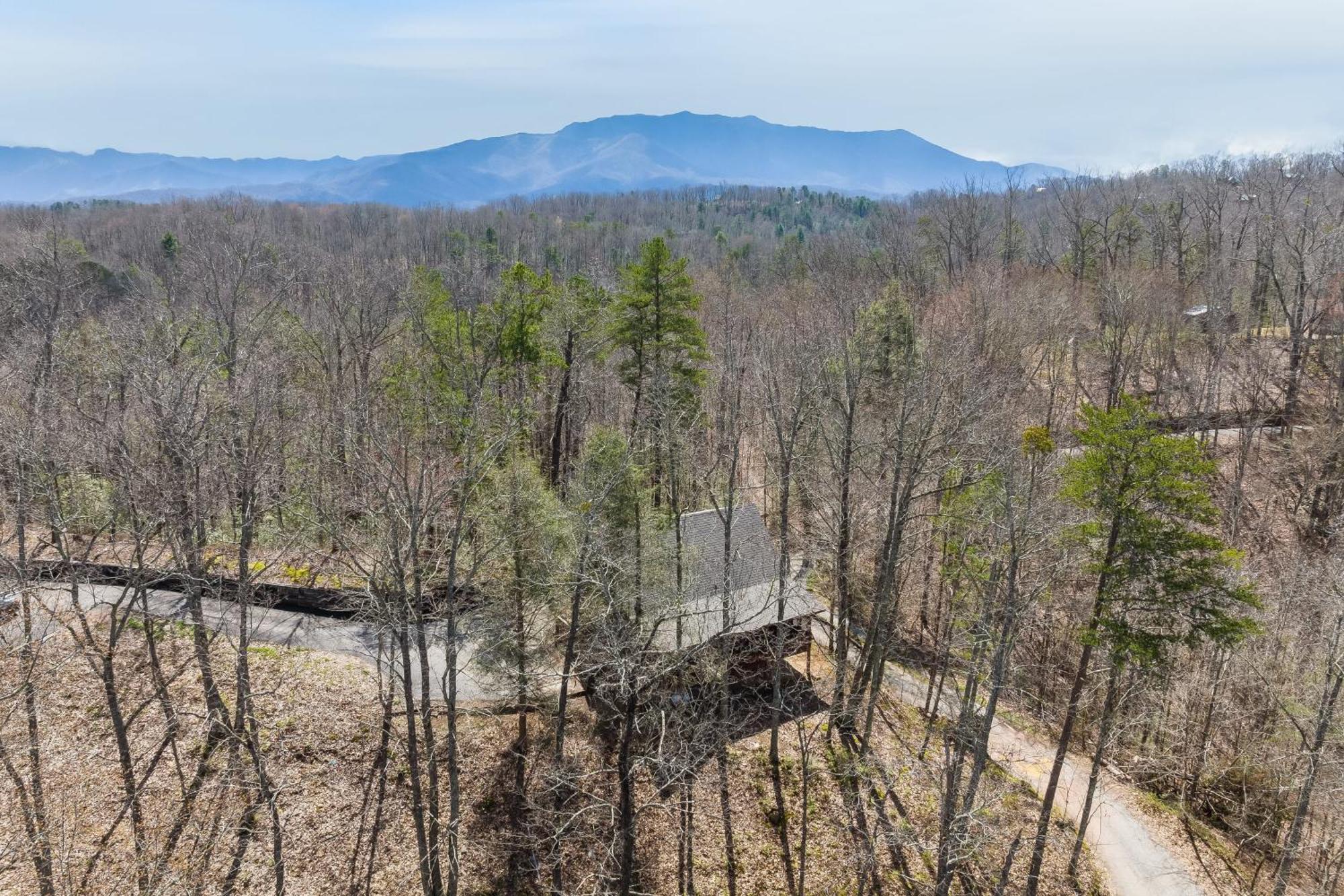 Dudley IV By Avantstay Cosy Cabin W Hot Tub Sweeping Views Pigeon Forge Εξωτερικό φωτογραφία
